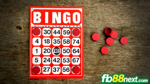 Khái niệm cơ bản về cách chơi Bingo FB88