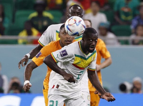 Soi kèo Ecuador vs Senegal, 22h00 ngày 29/11, World Cup 2022