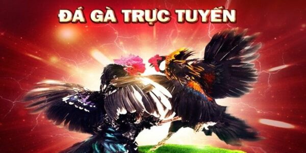 Game đá gà trực tuyến